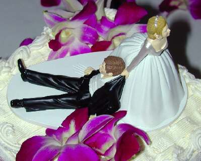 Cake decoration Wedding Cake Topper Hmmm truth in advertising or a just a