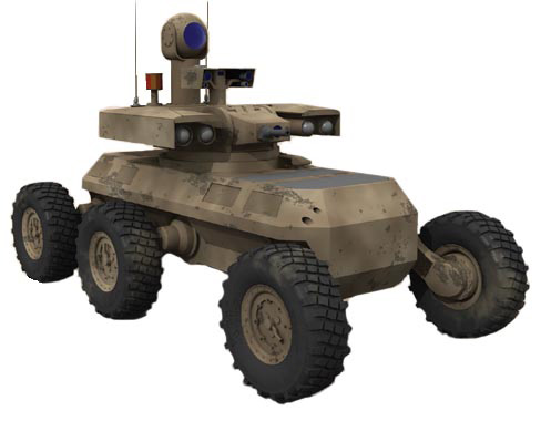 mule.jpg