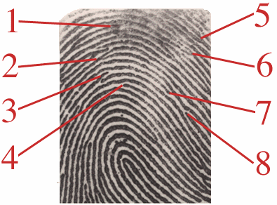 fingerprint.gif