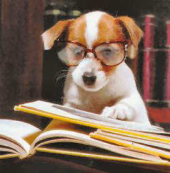 dog_glasses.jpg