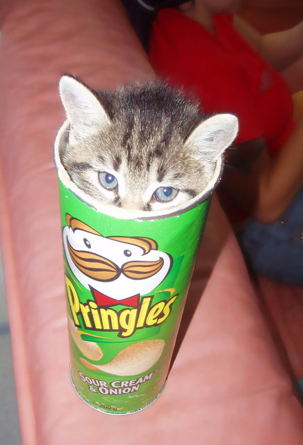 pringles-746605.jpg