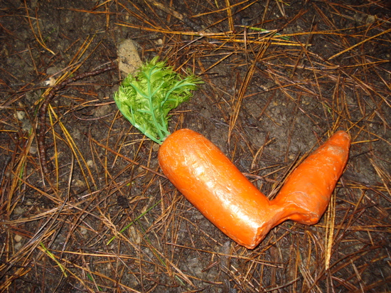 liveleak-dot-com-232627-carrot