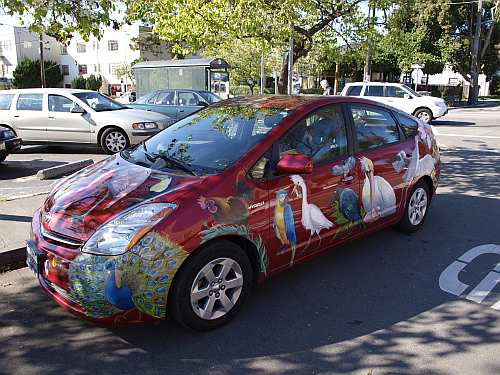 berkeleybird1