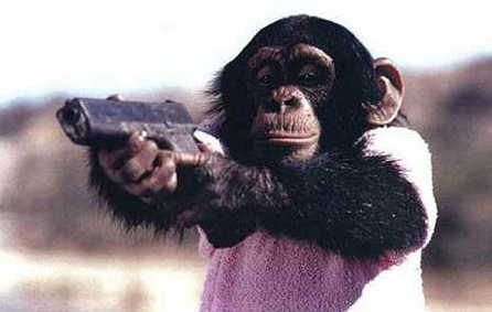 pictures of monkeys with guns. chimp_gun