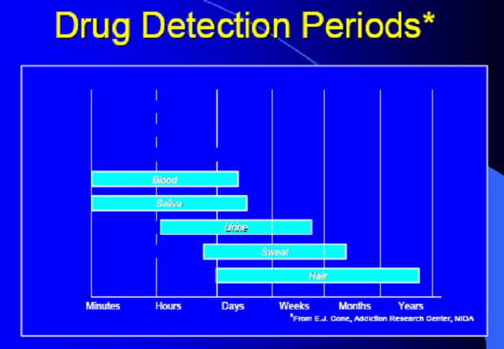 detection-windows