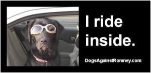 i_ride_inside_7