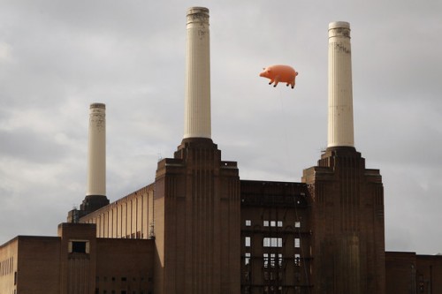 Flying+Pig+Recreates+Pink+Floyd+Album+Cover+WPqoHUP18F9l